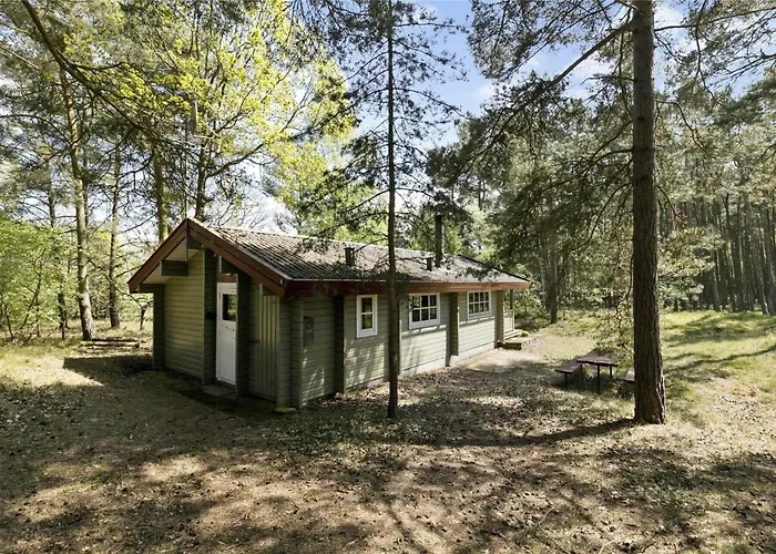 1533-aakirkeby-fyrreskoven-6 * Vester Somarken
